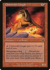 Chartooth Cougar - Foil