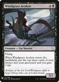 Windgrace Acolyte - Normal Windgrace Acolyte