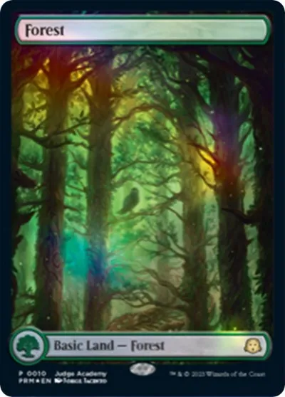 Forest - Full Art - Foil Forest Full Art