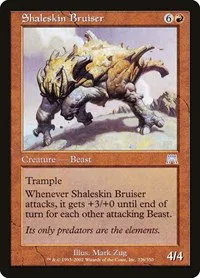 Shaleskin Bruiser