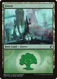 Forest - Simic - B09