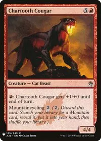 Chartooth Cougar - Normal Chartooth Cougar