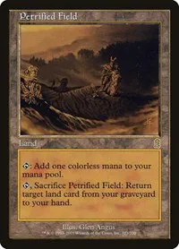 Petrified Field - Foil