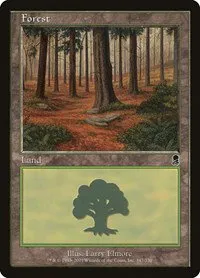 Forest - Foil