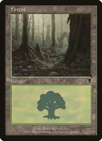 Forest - Foil
