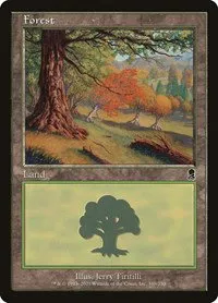 Forest