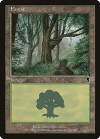Forest - Foil