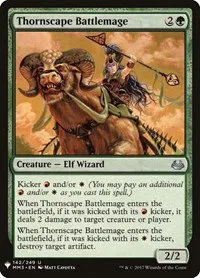 Thornscape Battlemage - Normal Thornscape Battlemage