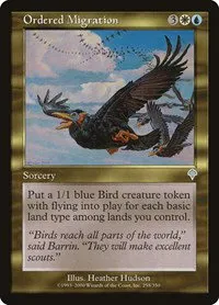 Ordered Migration - Foil