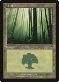 Forest - Foil