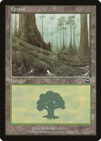 Forest - Foil