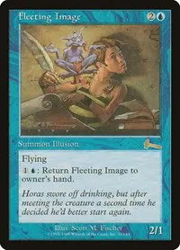 Fleeting Image