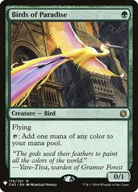 Birds of Paradise - Normal Birds Of Paradise