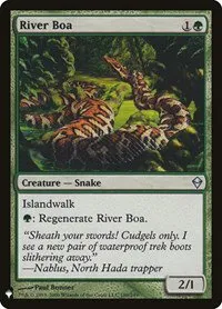 River Boa - Normal River Boa