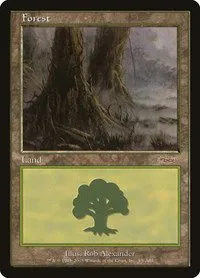 Forest - Normal Forest 37989