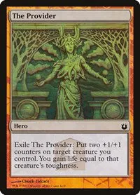 The Provider