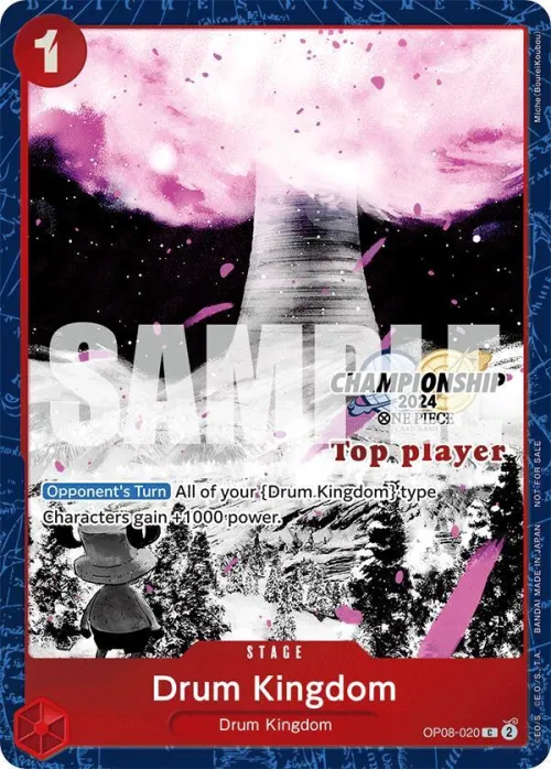 Drum Kingdom - Championship 2024 Top Playe 2
