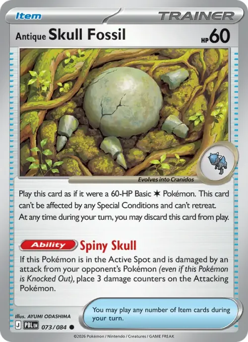 Antique Skull Fossil - Reverse Holo