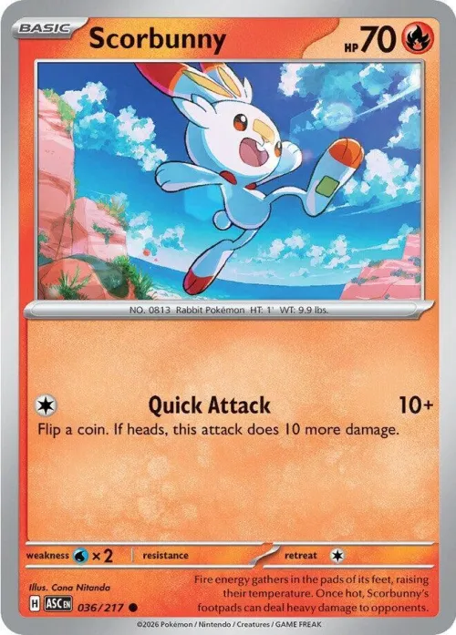 Scorbunny