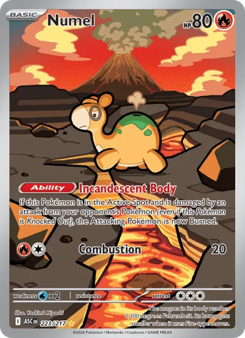 Numel