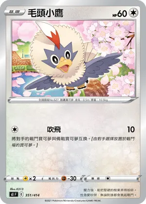 毛頭小鷹