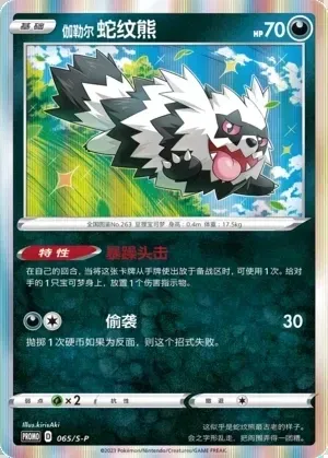 Galarian Zigzagoon