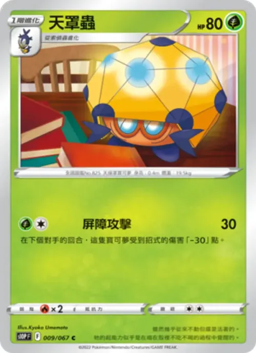 天罩蟲