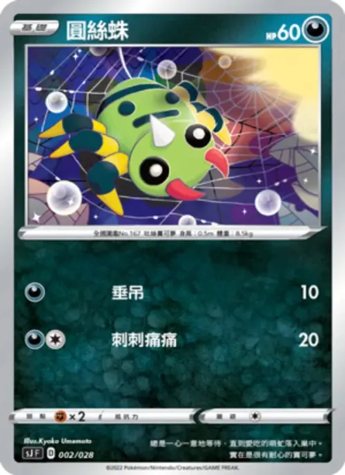 圓絲蛛