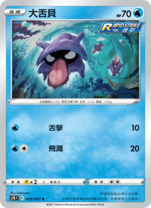 大舌貝