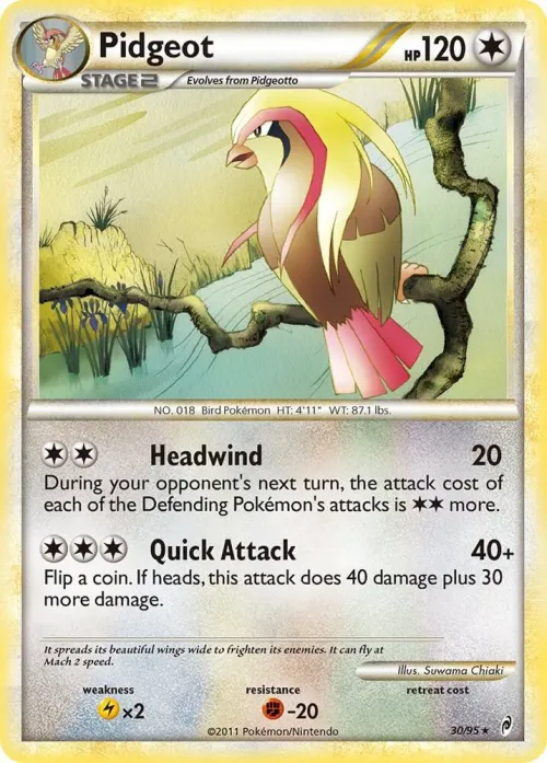 Pidgeot - Reverse Holo