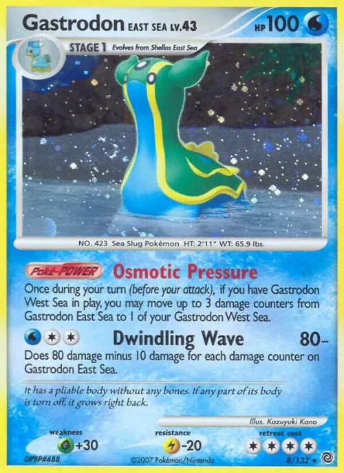 Gastrodon East Sea - Holo