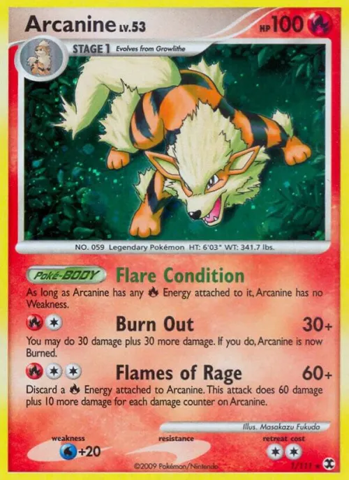 Arcanine - Holo