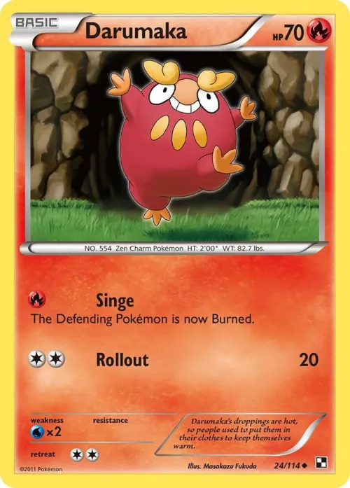 Darumaka (24)