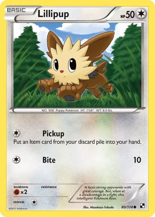 Lillipup (80)