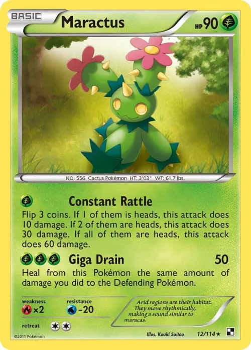Maractus (12)