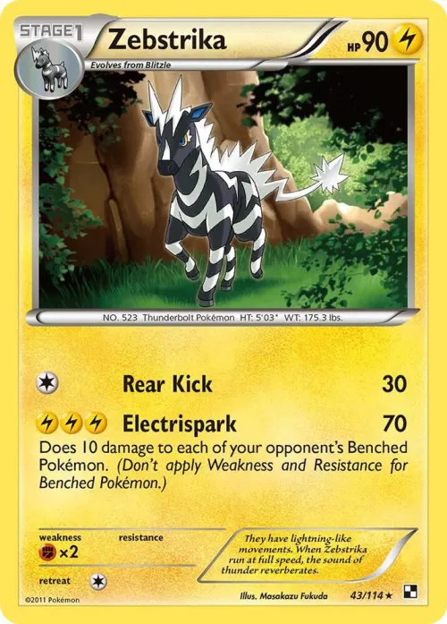 Zebstrika (43)
