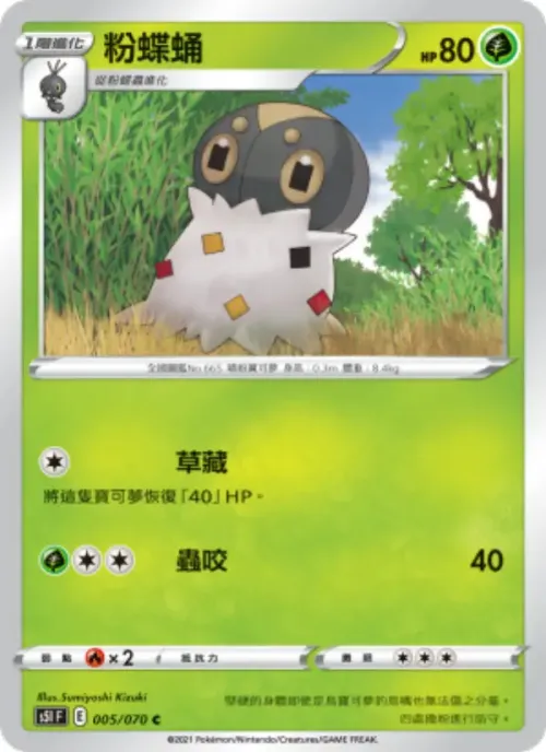 粉蝶蛹
