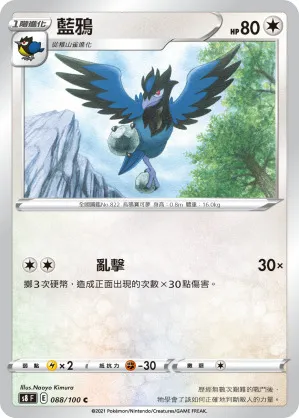 藍鴉