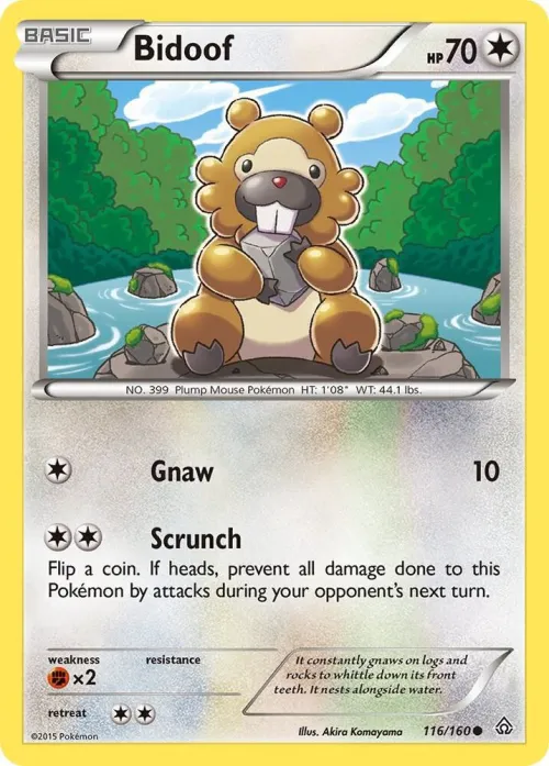 Bidoof - Reverse Holo