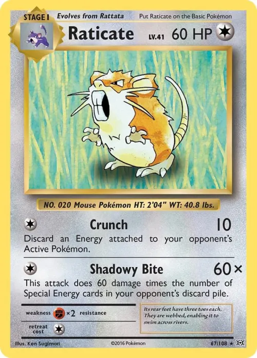 Raticate - Reverse Holo