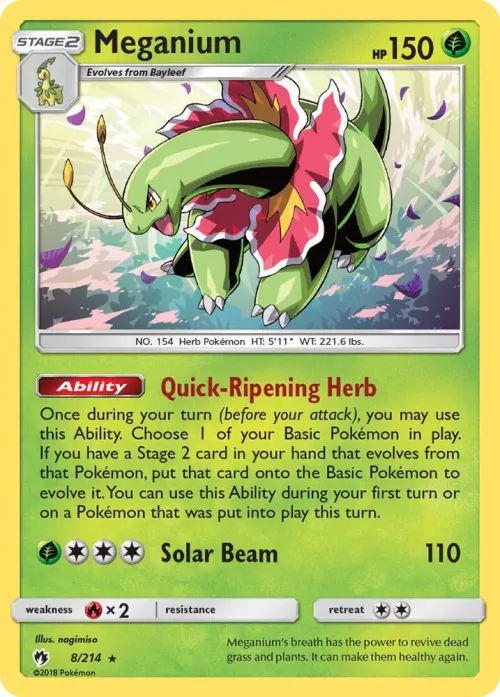 Meganium - Holo