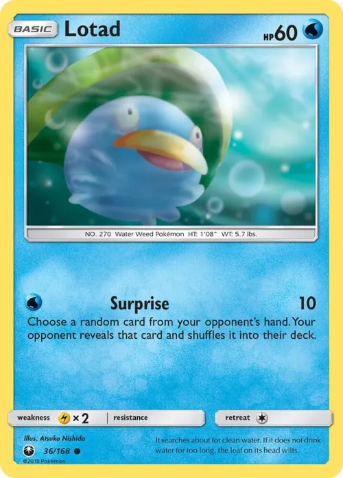Lotad - Reverse Holo