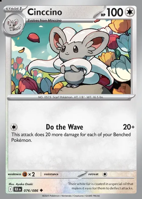 Cinccino