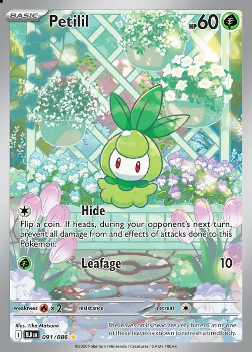 Petilil