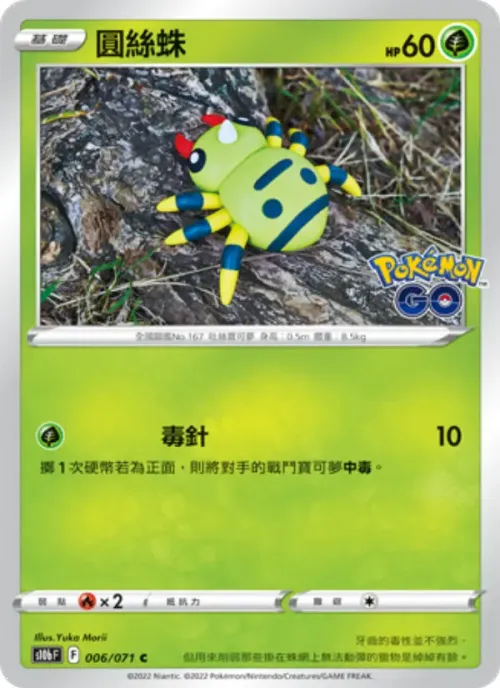 圓絲蛛