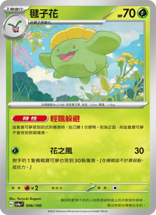 毽子花