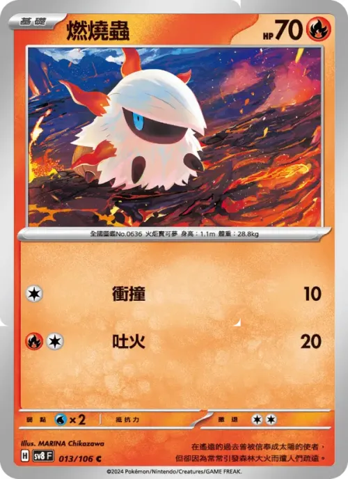 燃燒蟲