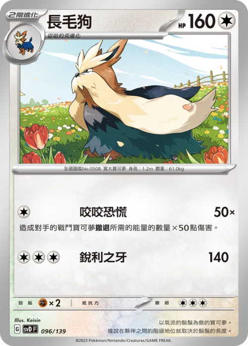 長毛狗