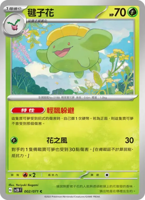 毽子花