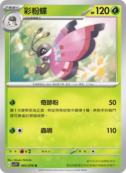 彩粉蝶